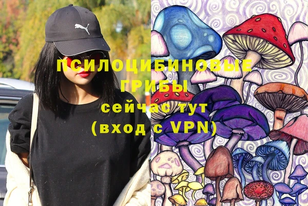 гашик Касимов