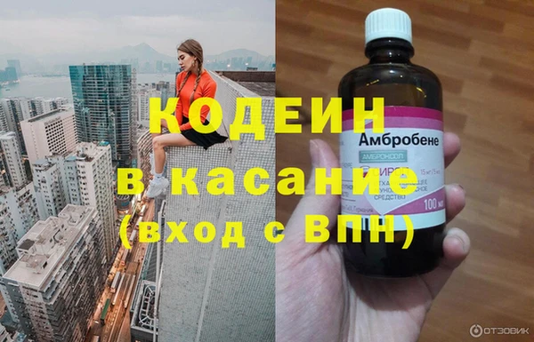 гашик Касимов