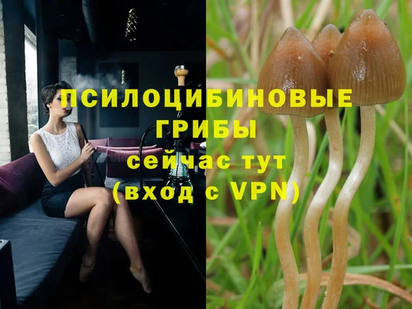 MDMA Карпинск