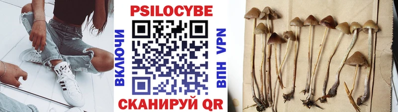 Купить закладки  Кирсанов  Галлюциногенные грибы ЛСД 